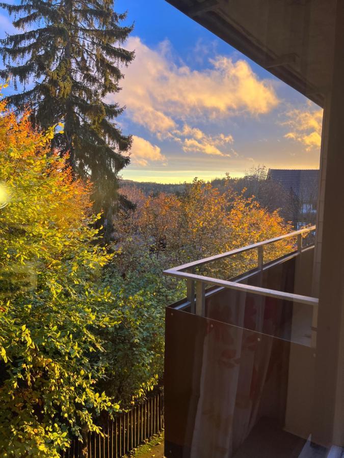 Moderne Und Zentral Gelegene Ferienwohnung In Braunlage Mit Rodelpiste Und Start Ski Langlauf In 300 Metern Entfernung Exterior foto